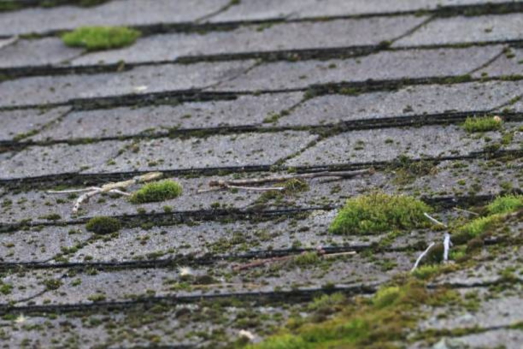 how to remove moss from roof
