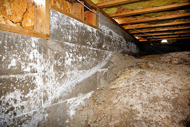 Crawl Space Waterproofing