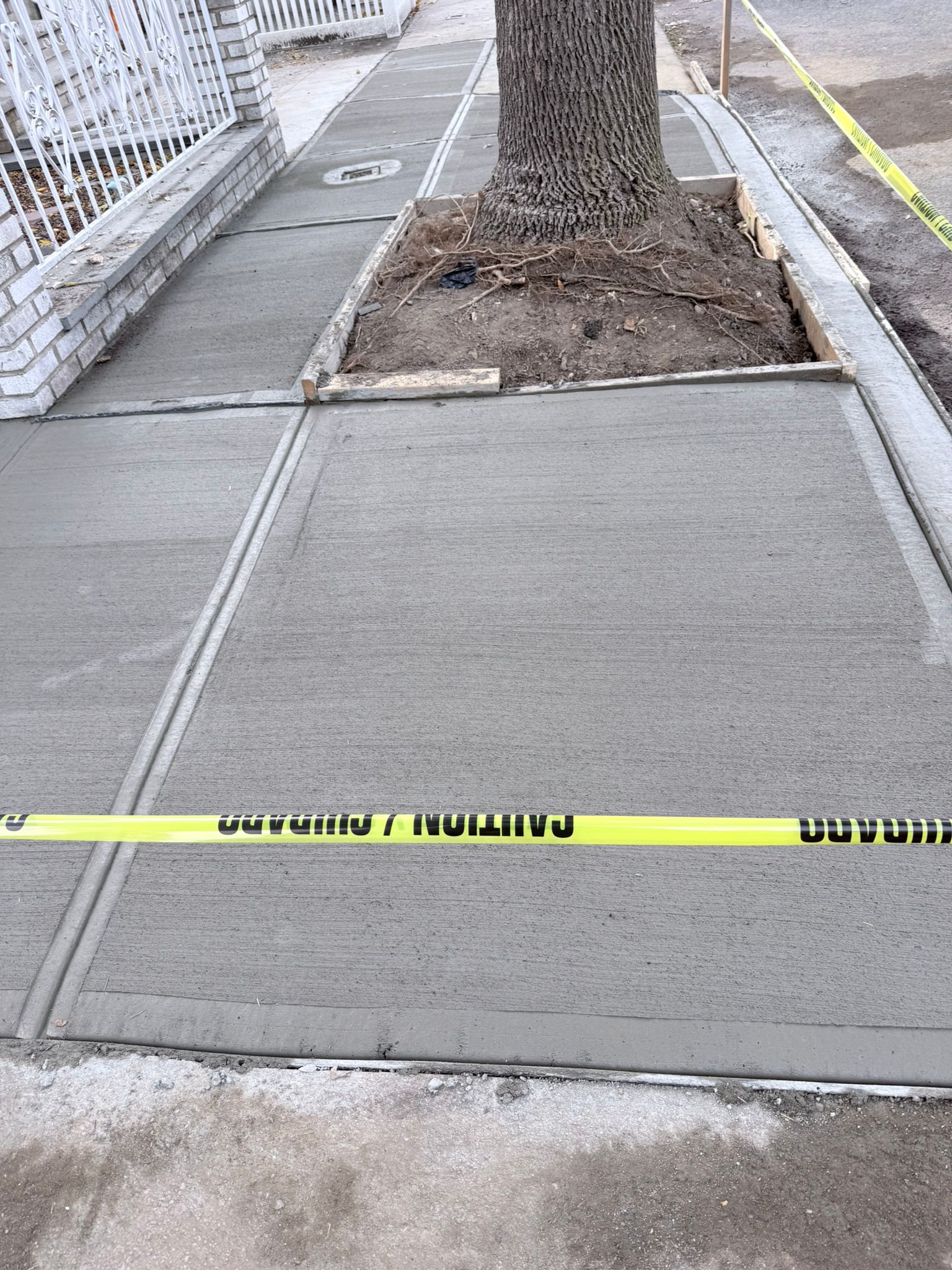 sidewalk replacement bronx