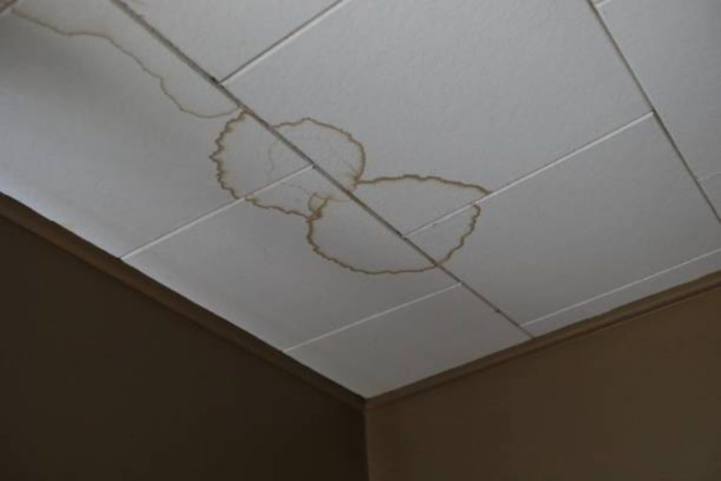 Ceiling Water Damage Repair