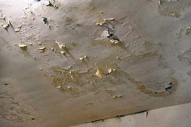 Brown Ceiling Stains